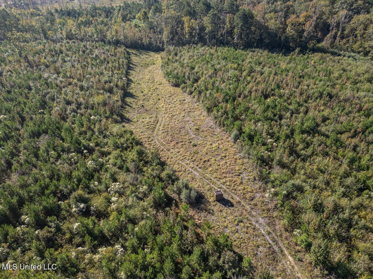 4058 McClain Road Liberty, MS 39645 - Photo 17 of 46 DJI_0886 Large