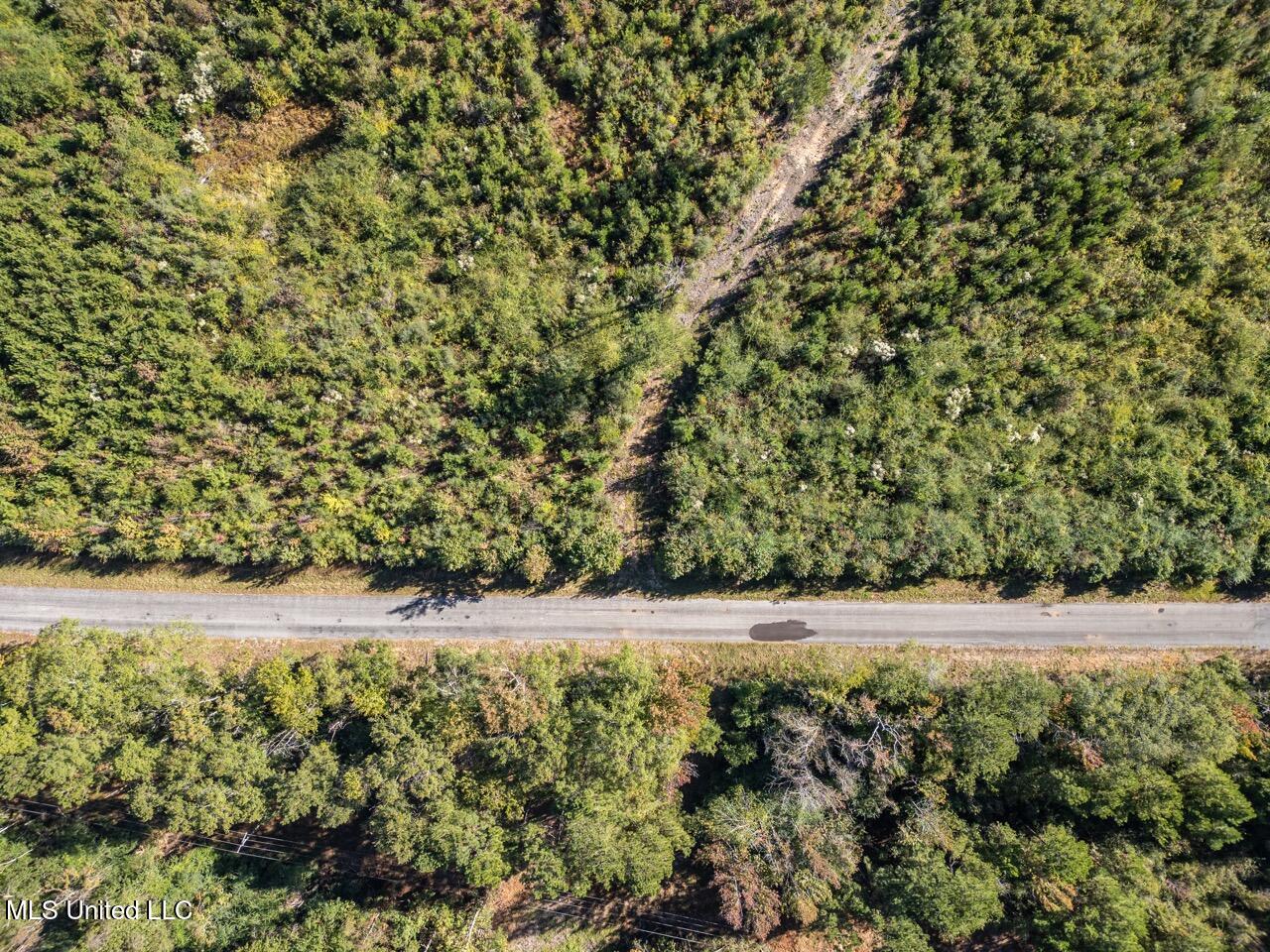 4058 McClain Road Liberty, MS 39645 - Photo 18 of 46 DJI_0891 Large