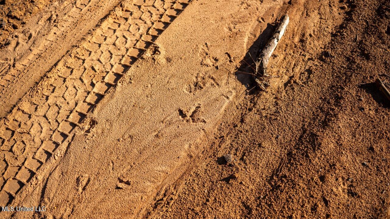 4058 McClain Road Liberty, MS 39645 - Photo 19 of 46 ZTS07062 Large