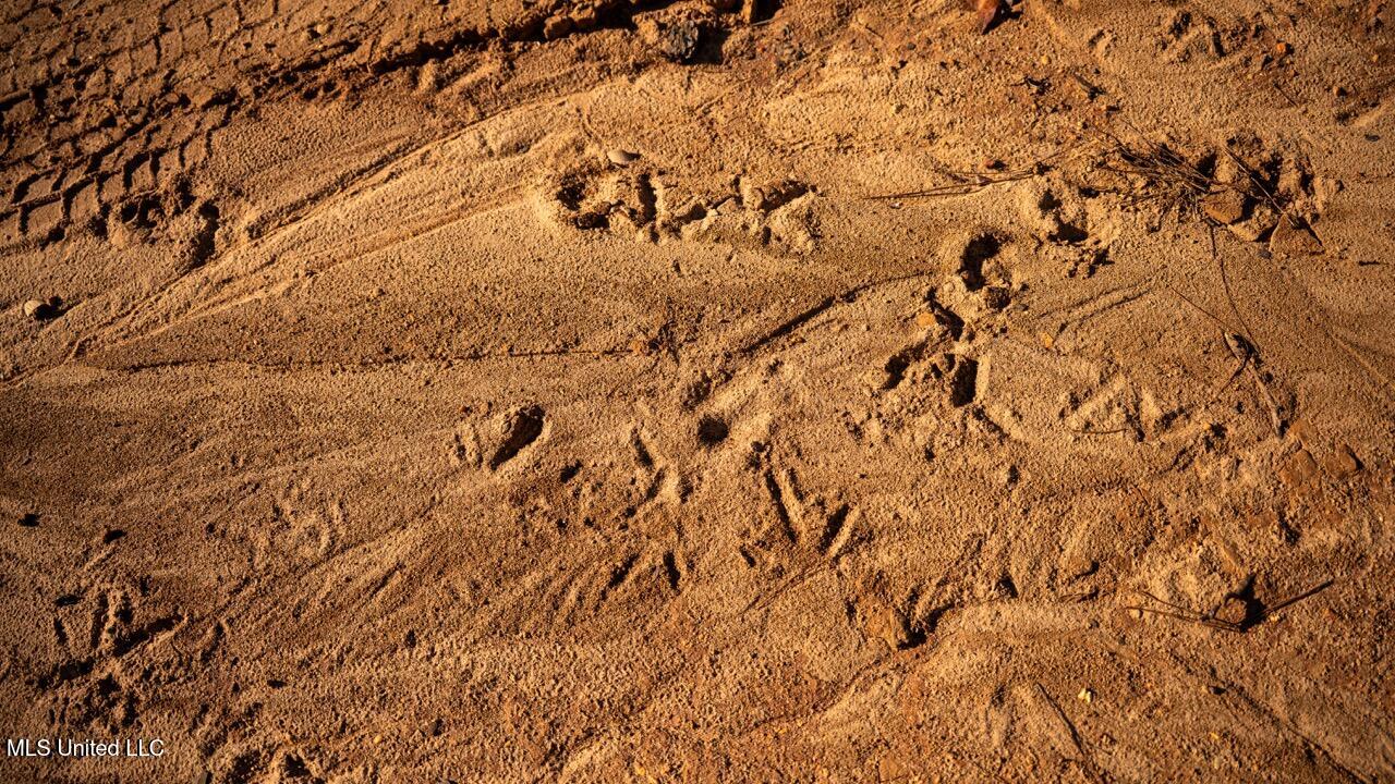 4058 McClain Road Liberty, MS 39645 - Photo 20 of 46 ZTS07066 Large