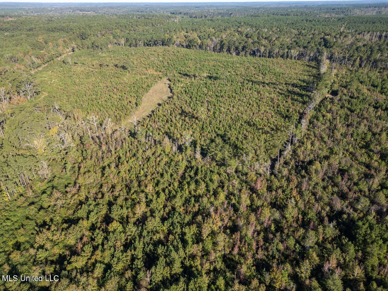 4058 McClain Road Liberty, MS 39645 - Photo 2 of 46 DJI_0848 Large