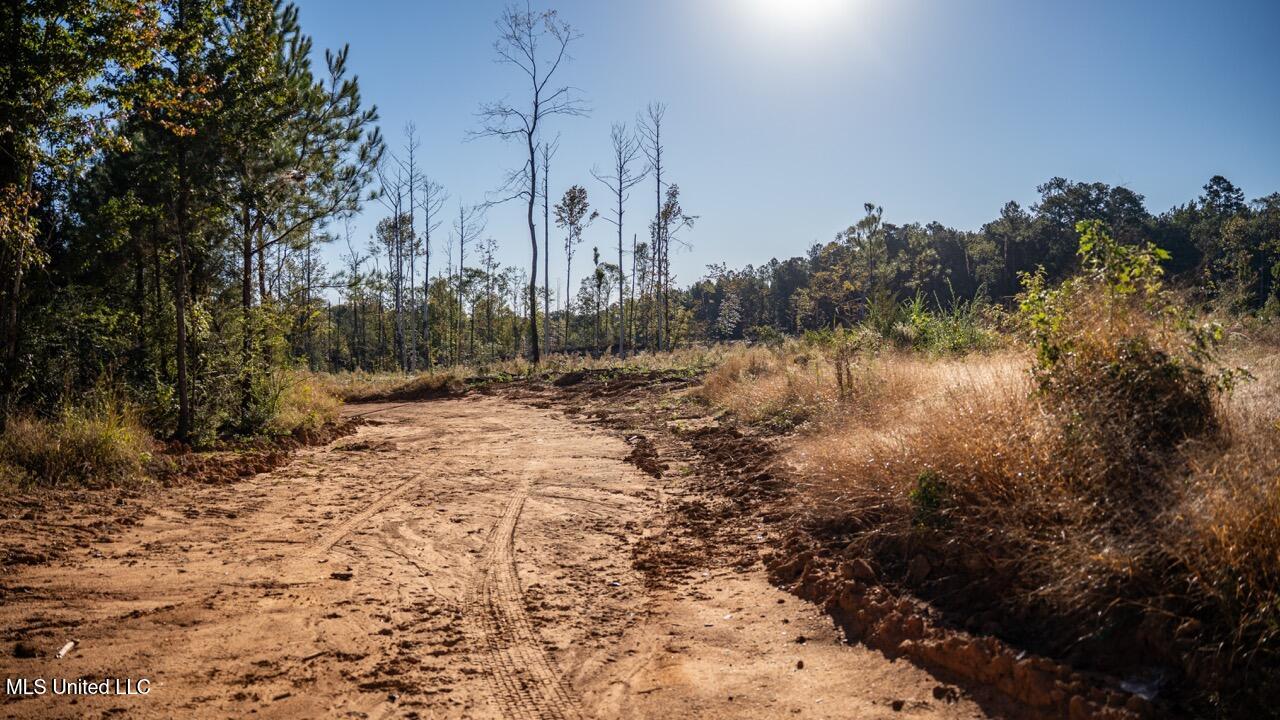 4058 McClain Road Liberty, MS 39645 - Photo 21 of 46 ZTS07067 Large