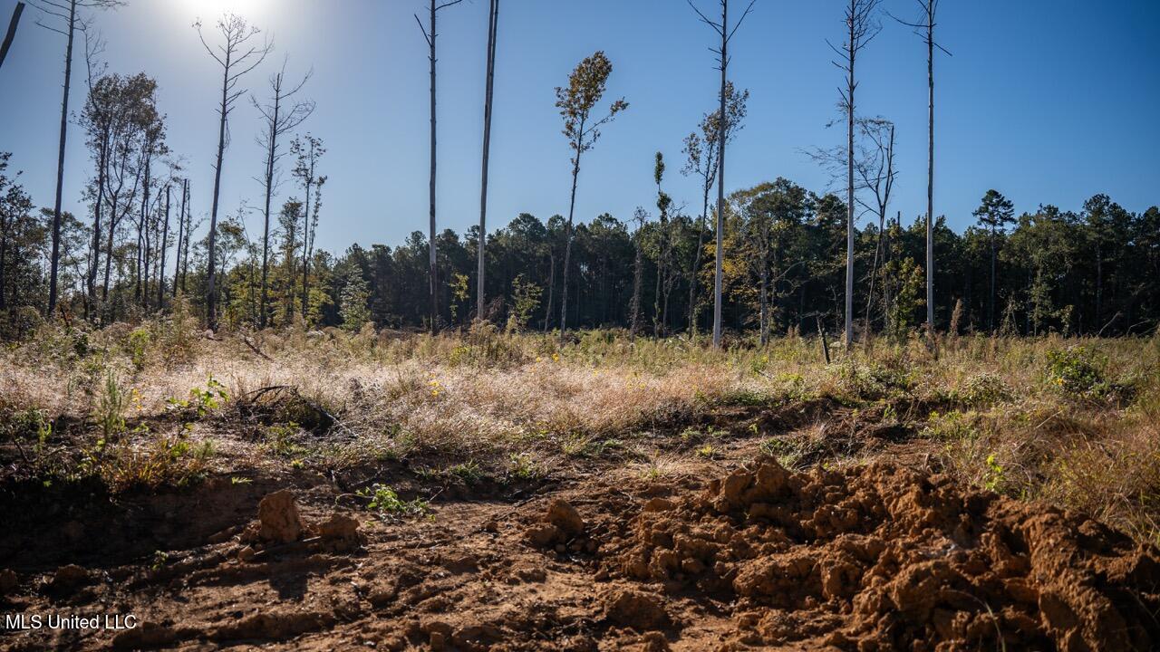 4058 McClain Road Liberty, MS 39645 - Photo 22 of 46 ZTS07072 Large