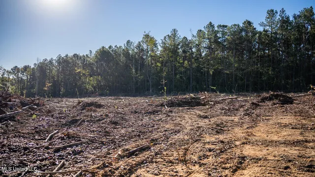 $550,000 | 4058 McClain Road, Liberty, MS 39645