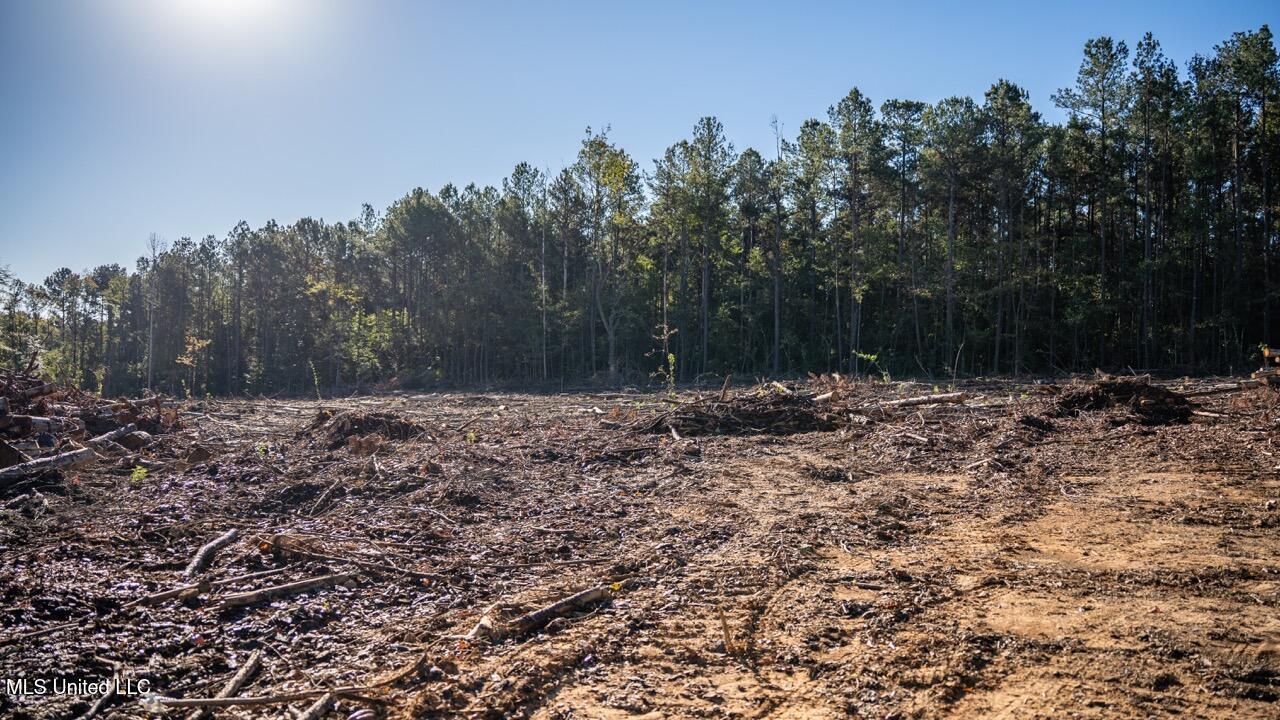 4058 McClain Road Liberty, MS 39645 - Photo 24 of 46 ZTS07077 Large