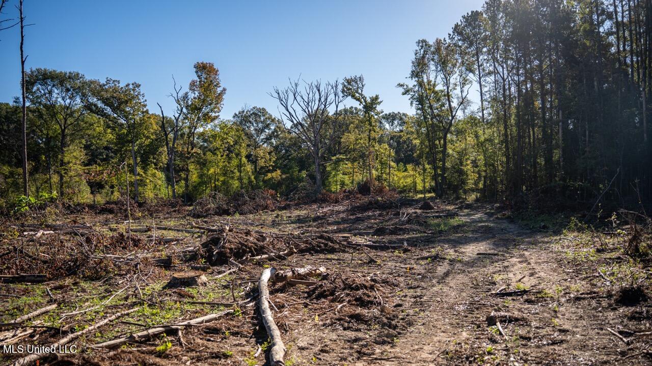 4058 McClain Road Liberty, MS 39645 - Photo 25 of 46 ZTS07080 Large