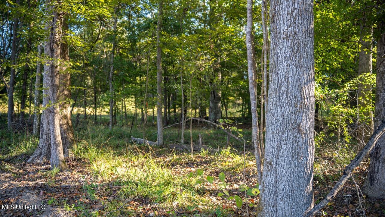 4058 McClain Road Liberty, MS 39645 - Photo 27 of 46 ZTS07086 Large
