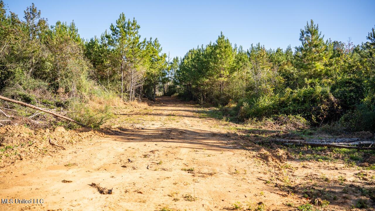4058 McClain Road Liberty, MS 39645 - Photo 28 of 46 ZTS07089 Large
