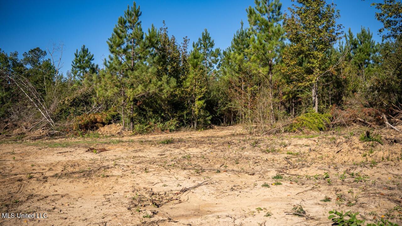 4058 McClain Road Liberty, MS 39645 - Photo 32 of 46 ZTS07102 Large