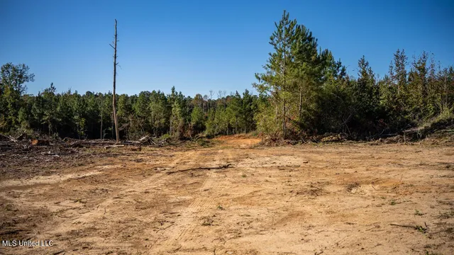 $550,000 | 4058 McClain Road, Liberty, MS 39645