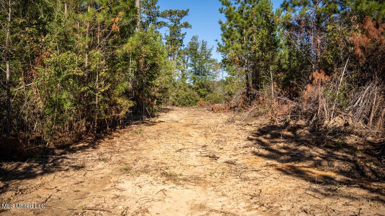 4058 McClain Road Liberty, MS 39645 - Photo 35 of 46 ZTS07109 Large