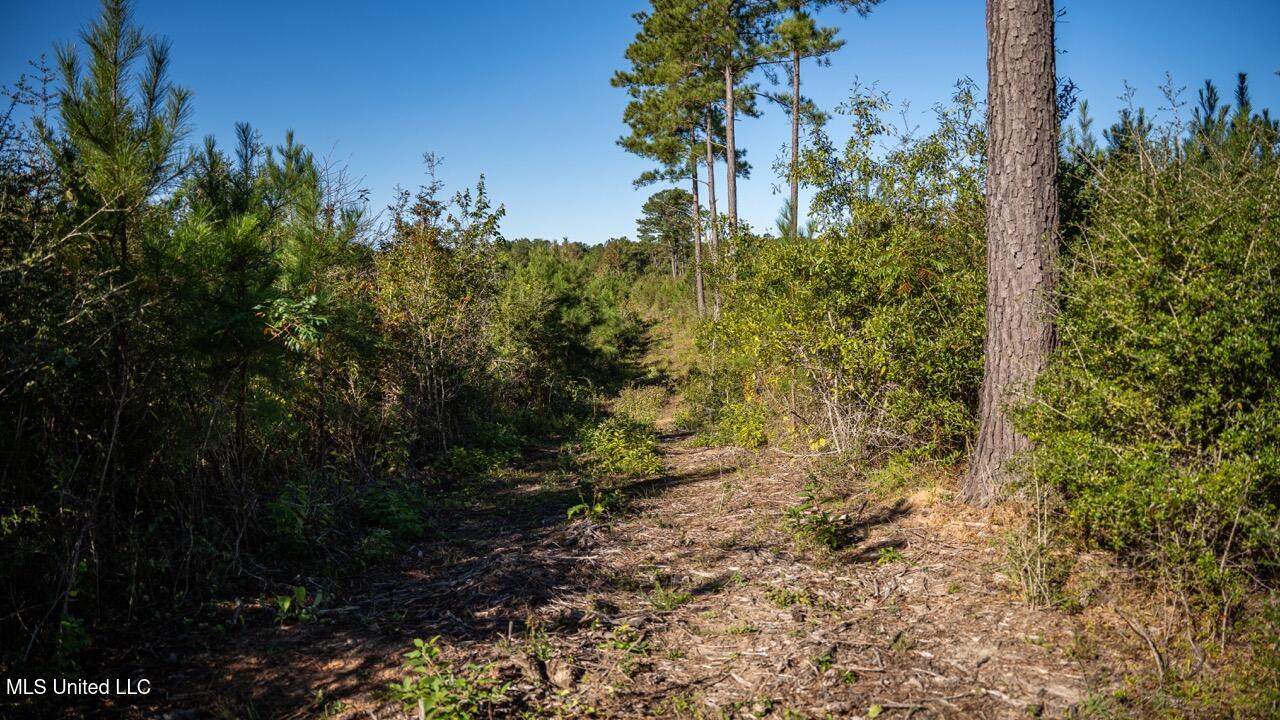 4058 McClain Road Liberty, MS 39645 - Photo 36 of 46 ZTS07110 Large