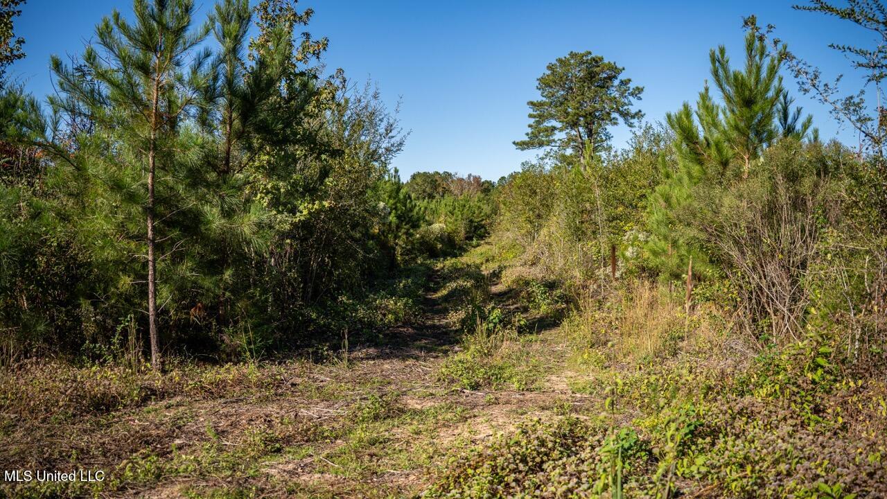 4058 McClain Road Liberty, MS 39645 - Photo 37 of 46 ZTS07112 Large