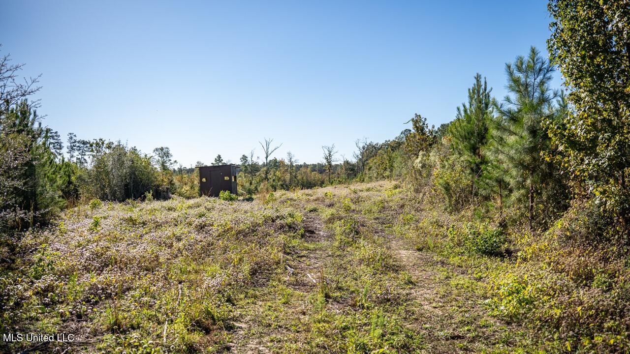 4058 McClain Road Liberty, MS 39645 - Photo 38 of 46 ZTS07114 Large