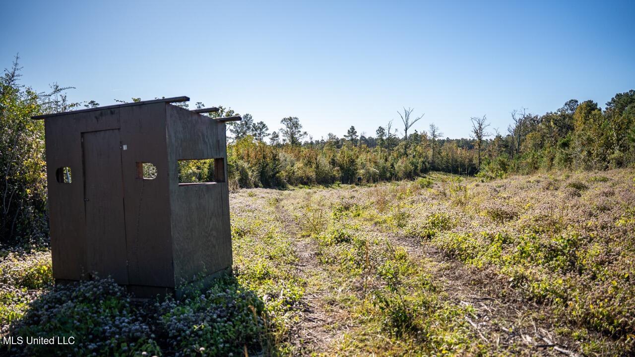 4058 McClain Road Liberty, MS 39645 - Photo 39 of 46 ZTS07116 Large
