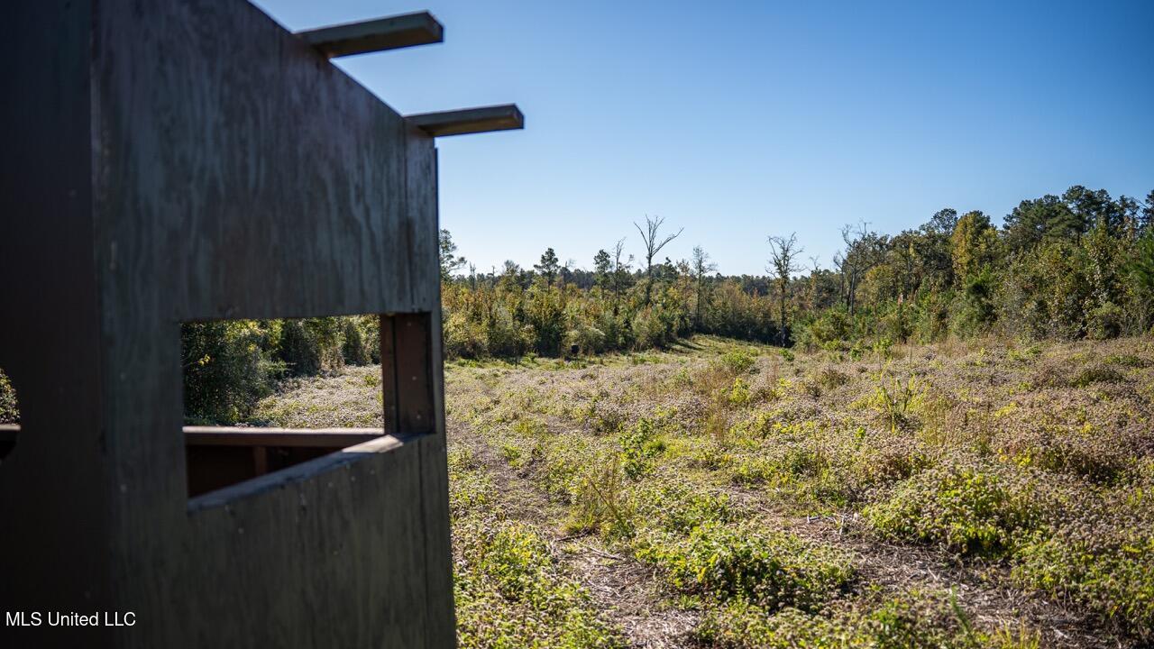 4058 McClain Road Liberty, MS 39645 - Photo 40 of 46 ZTS07120 Large
