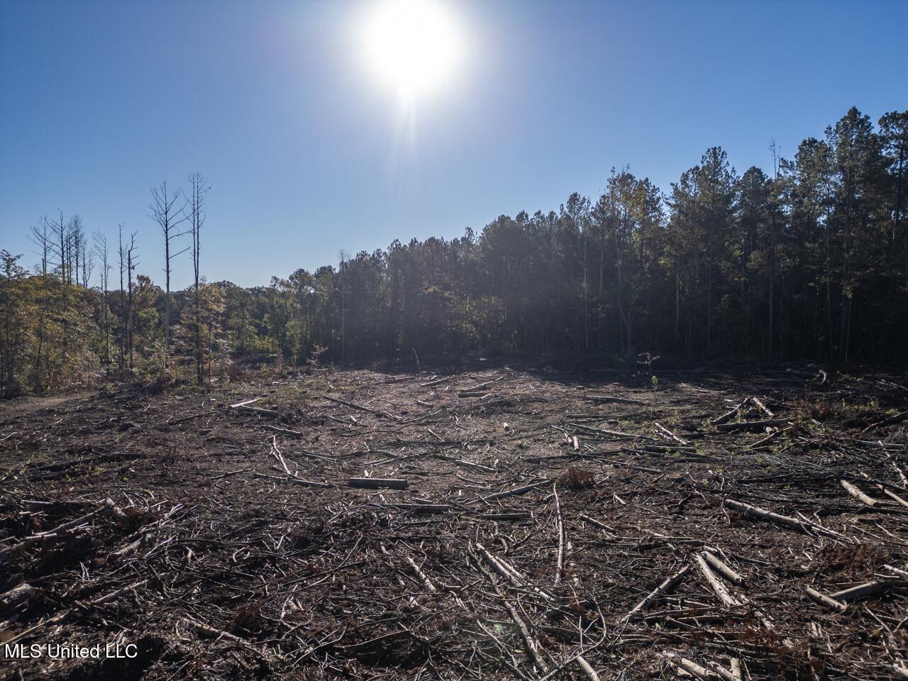4058 McClain Road Liberty, MS 39645 - Photo 4 of 46 DJI_0835 Large