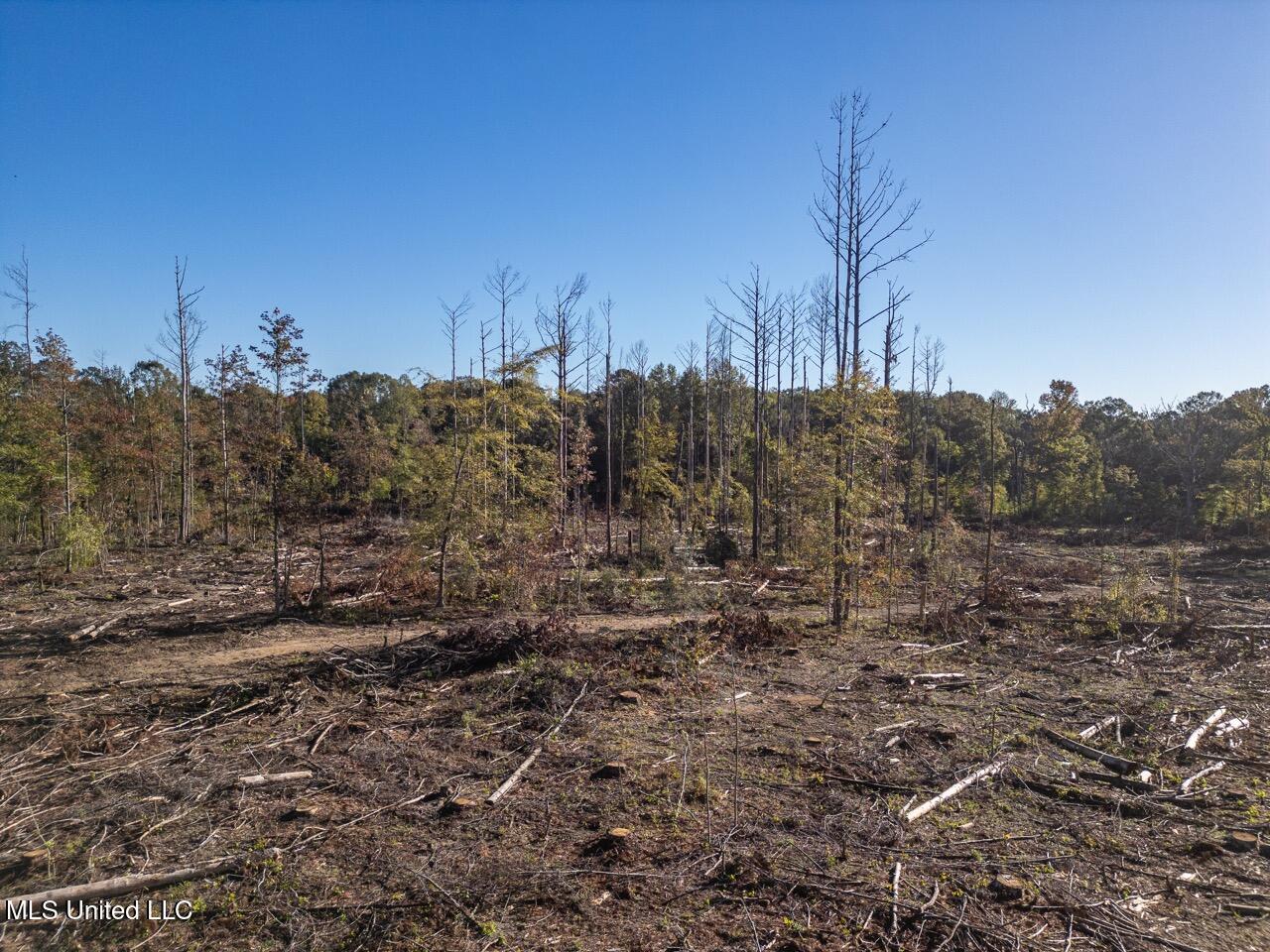 4058 McClain Road Liberty, MS 39645 - Photo 5 of 46 DJI_0838 Large