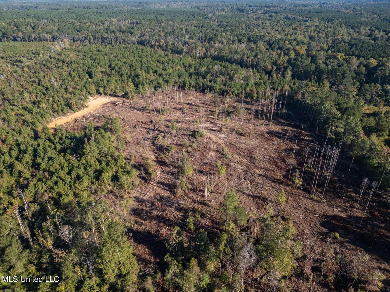 4058 McClain Road Liberty, MS 39645 - Photo 6 of 46 DJI_0840 Large