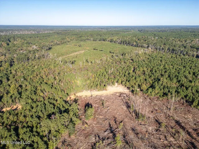 $550,000 | 4058 McClain Road, Liberty, MS 39645