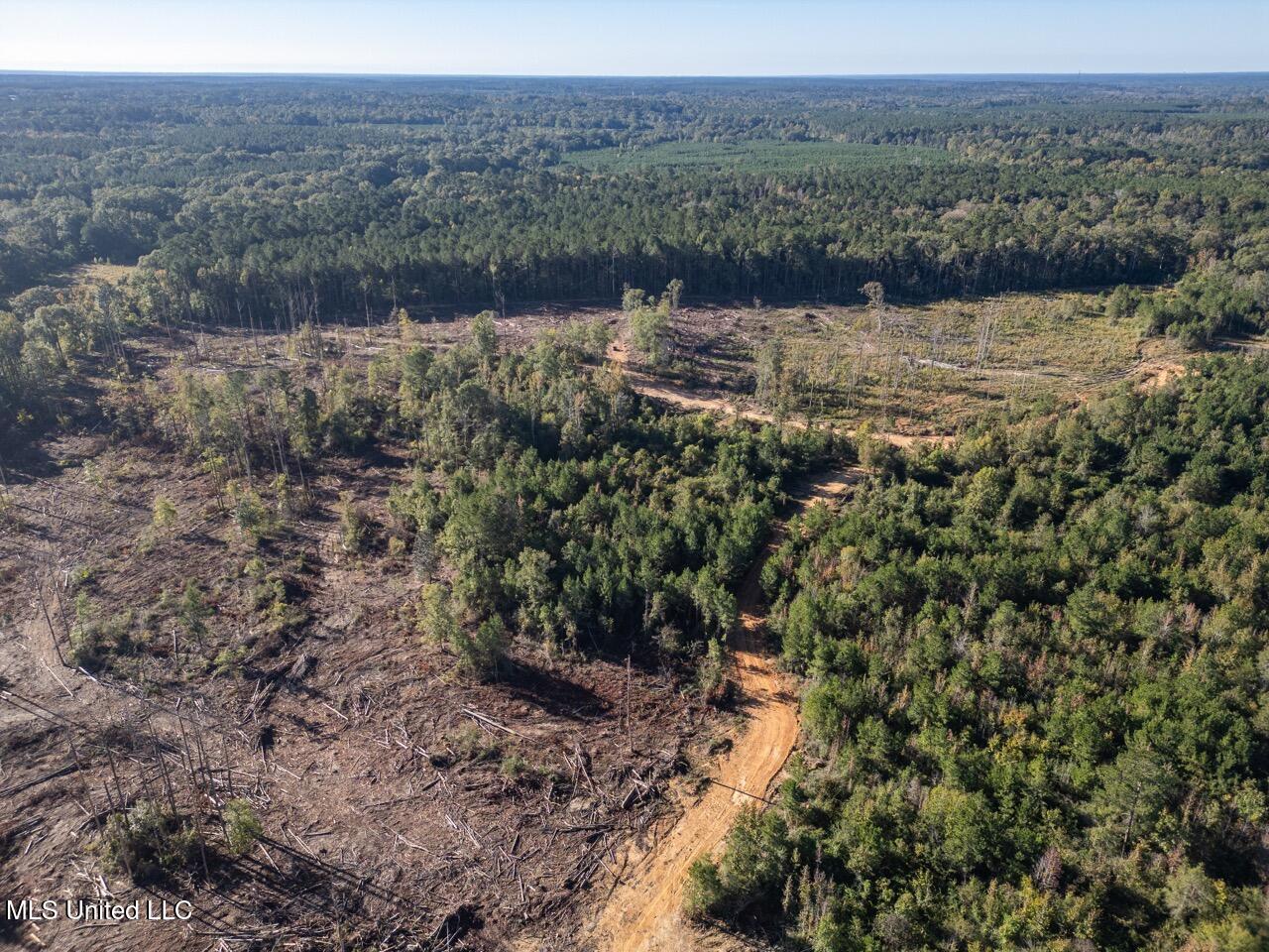 4058 McClain Road Liberty, MS 39645 - Photo 9 of 46 DJI_0852 Large