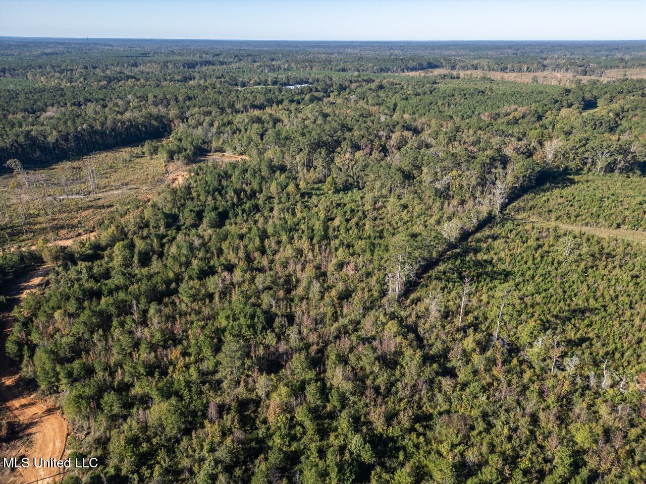 4058 McClain Road Liberty, MS 39645 - Photo 10 of 46 DJI_0854 Large
