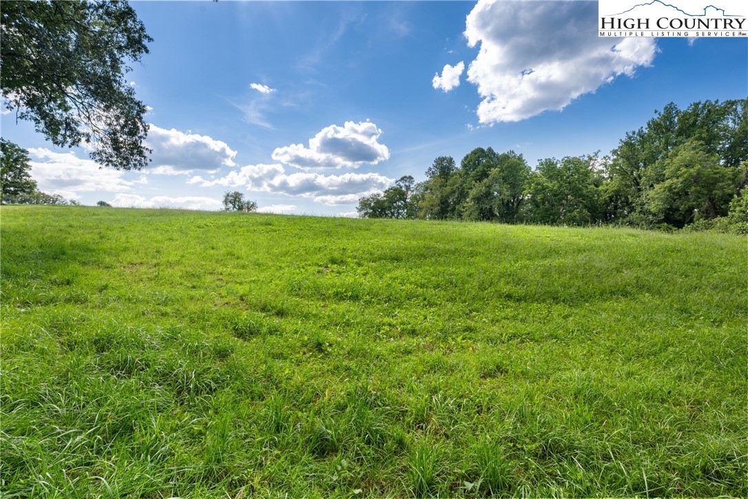 Hamby Mountain Road Purlear, NC 28665 - Photo 5 of 12 Gallery Image 5