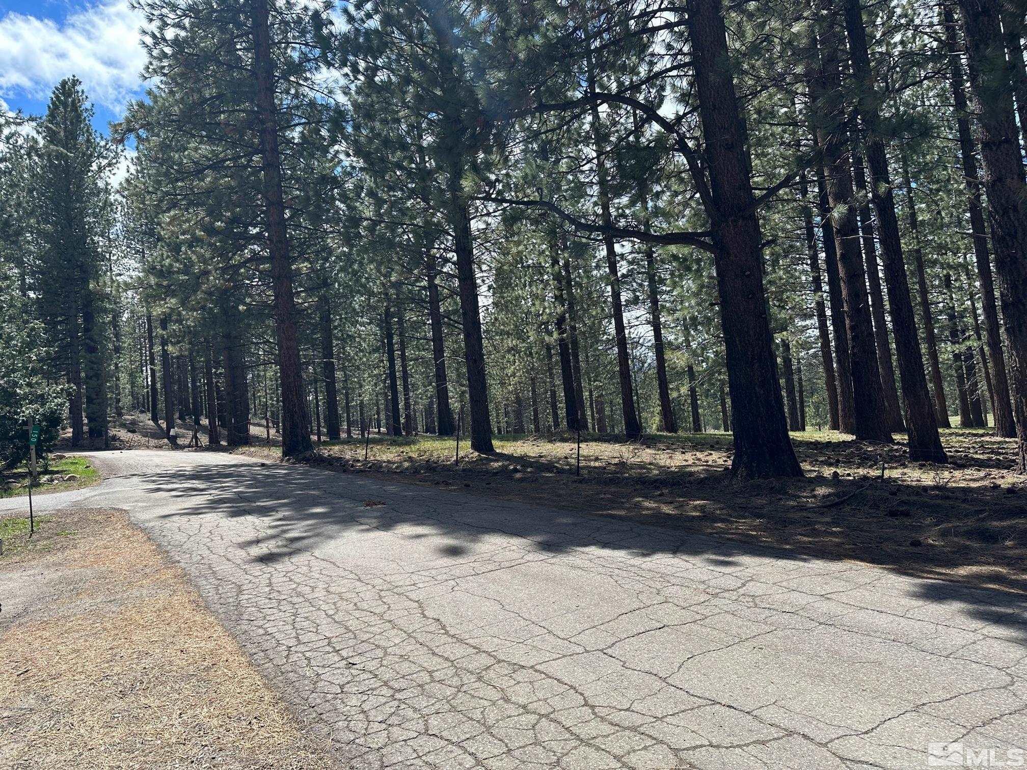 130 Sawmill Road Markleeville, CA 96120 - Photo 31 of 32 a view of a park that has large trees