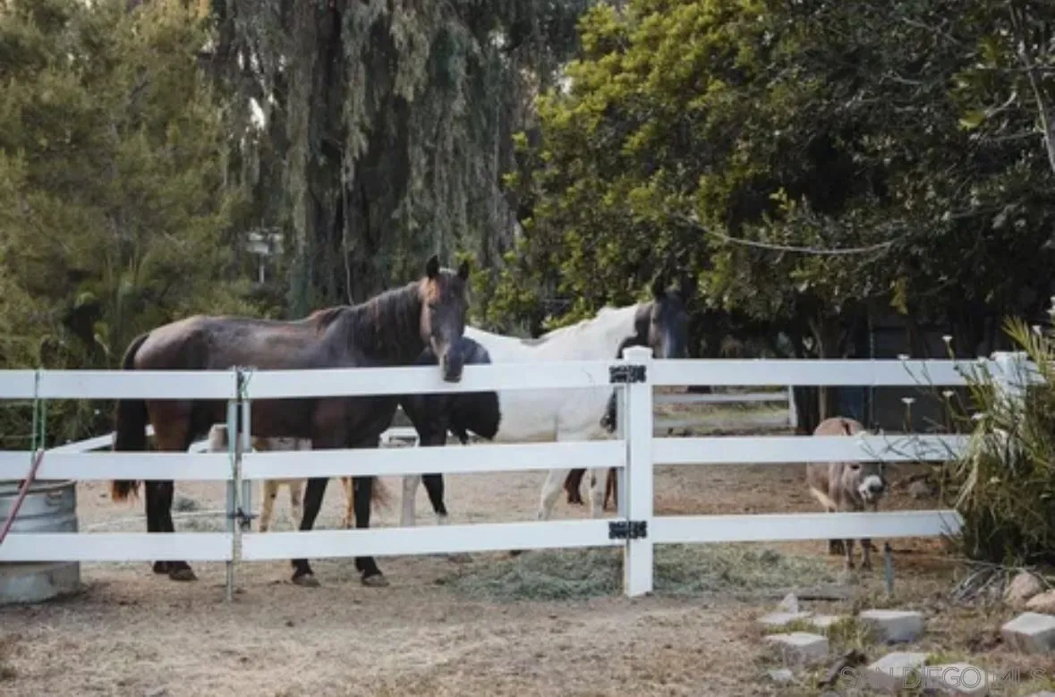 a view of a white house with large trees and windows