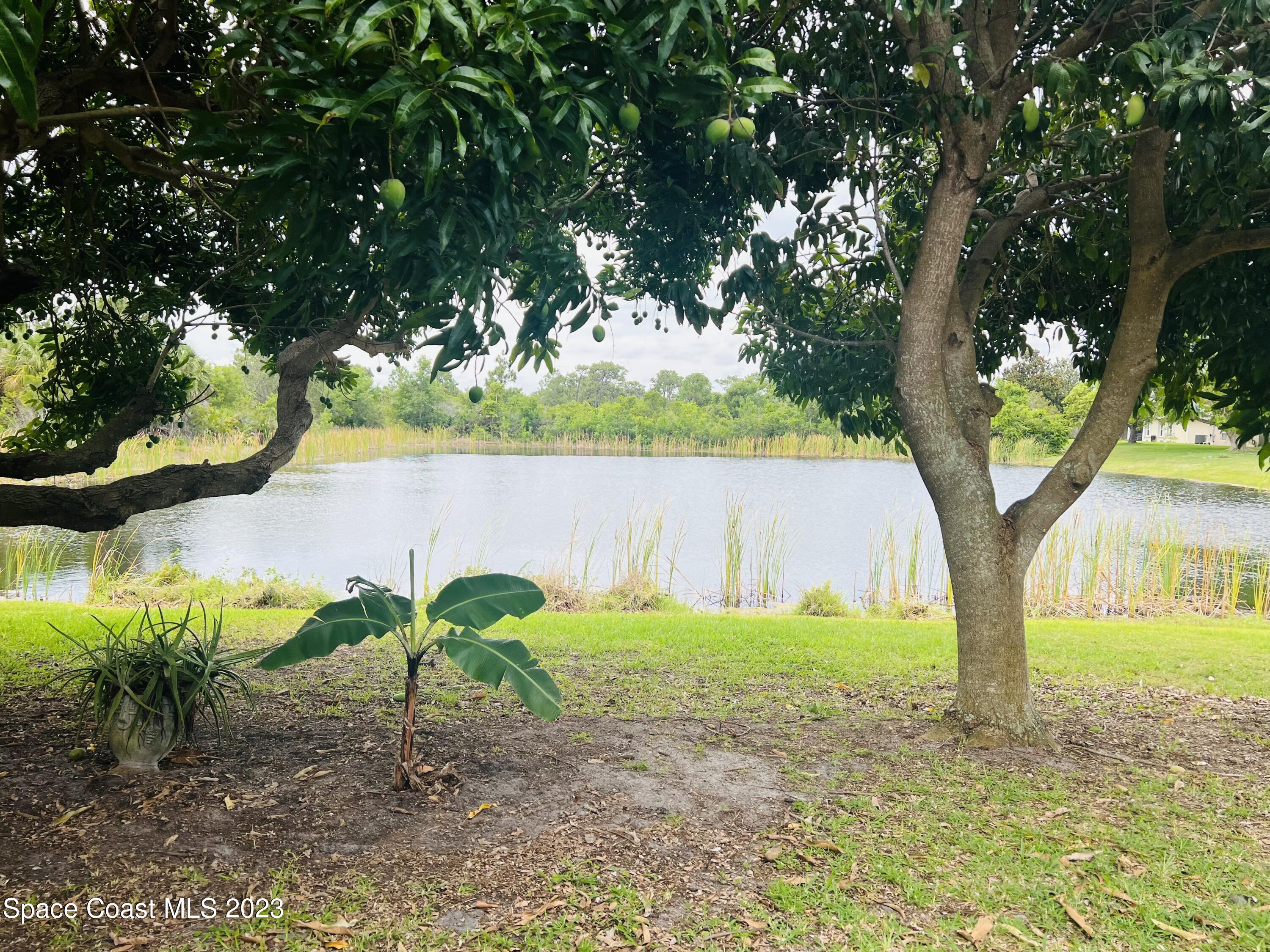 3231 Windsor Estates Drive Melbourne, FL 32940 - Photo 38 of 40 Lake-3231 Windsor Estates