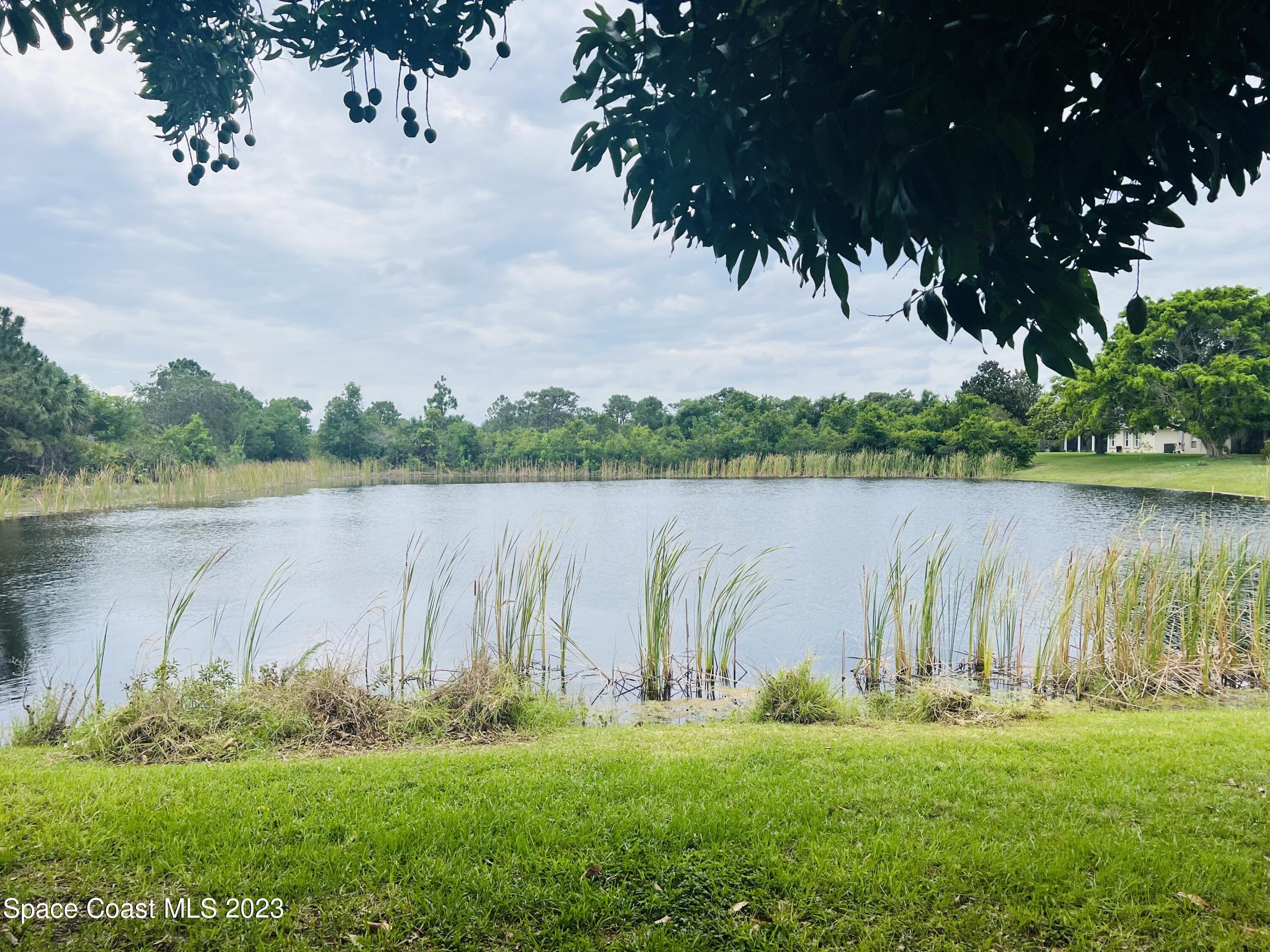 3231 Windsor Estates Drive Melbourne, FL 32940 - Photo 39 of 40 a view of a lake with houses in the back