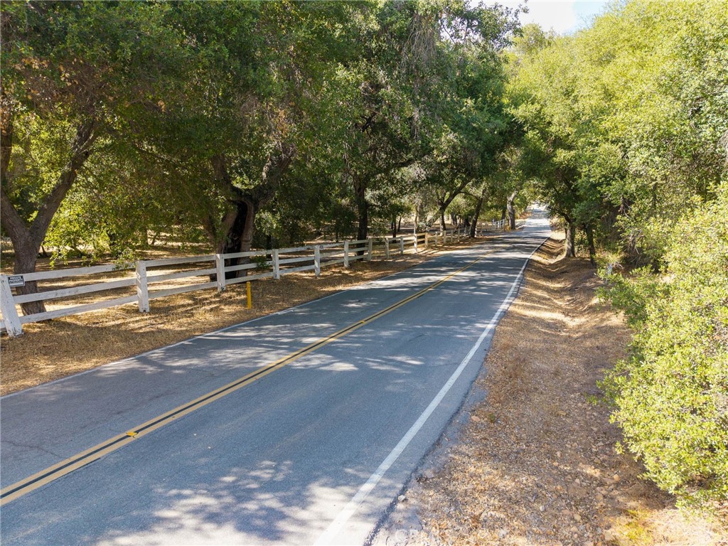 19 Hombre Lane Fallbrook, CA 92028 - Photo 1 of 21 a view of a yard with large trees