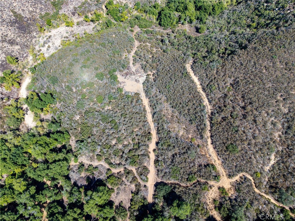 19 Hombre Lane Fallbrook, CA 92028 - Photo 11 of 21 a view of a forest with lots of trees