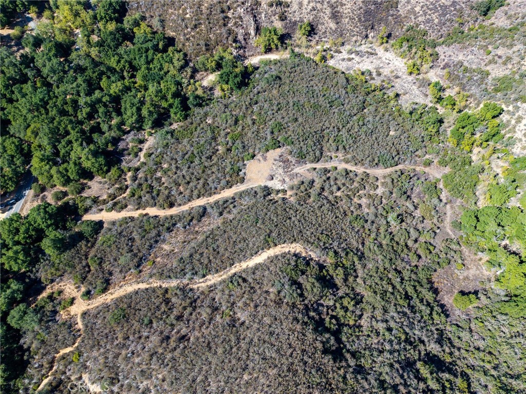 19 Hombre Lane Fallbrook, CA 92028 - Photo 13 of 21 a view of a forest with a tree