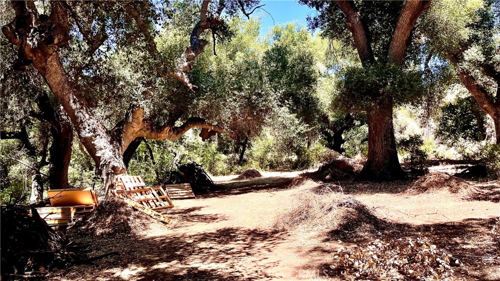 19 Hombre Lane Fallbrook, CA 92028 - Photo 5 of 21 a view of outdoor space and covered with snow