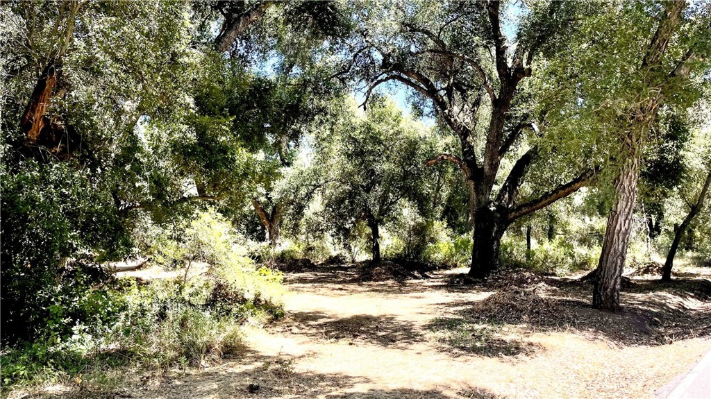 19 Hombre Lane Fallbrook, CA 92028 - Photo 7 of 21 a view of a tree with a yard