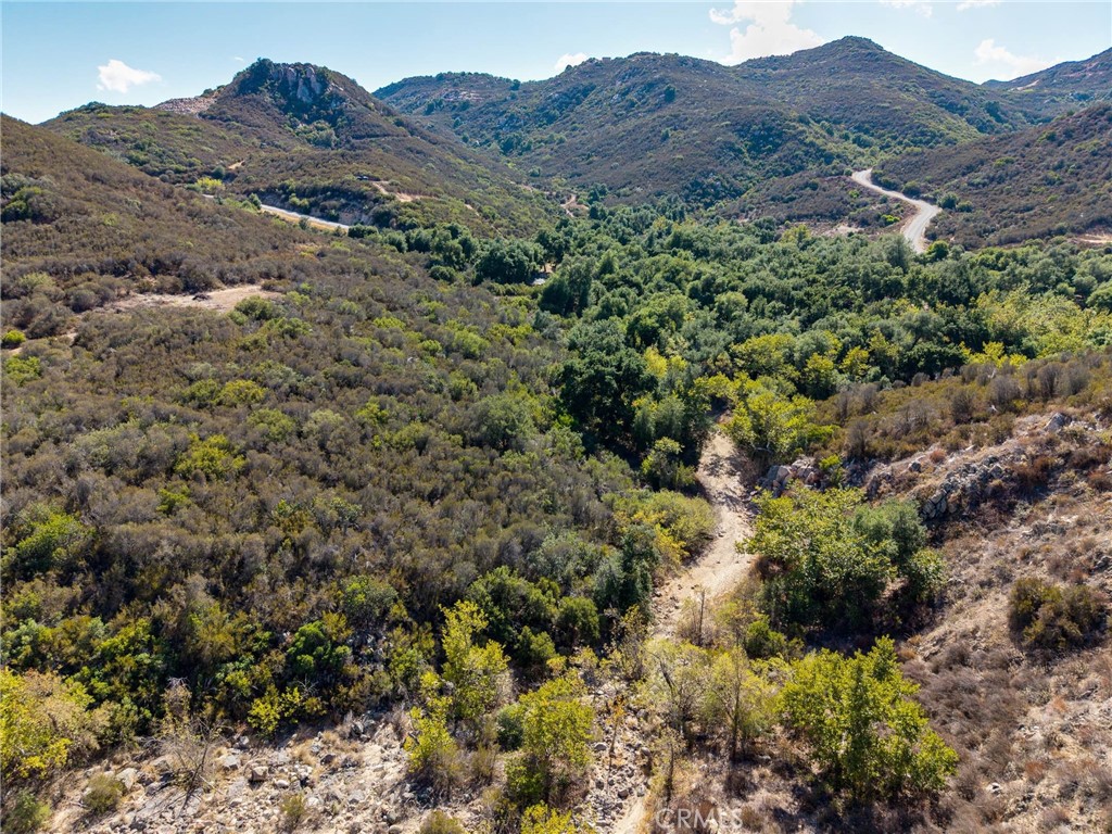 19 Hombre Lane Fallbrook, CA 92028 - Photo 10 of 21 a view of a forest with a tree in a field