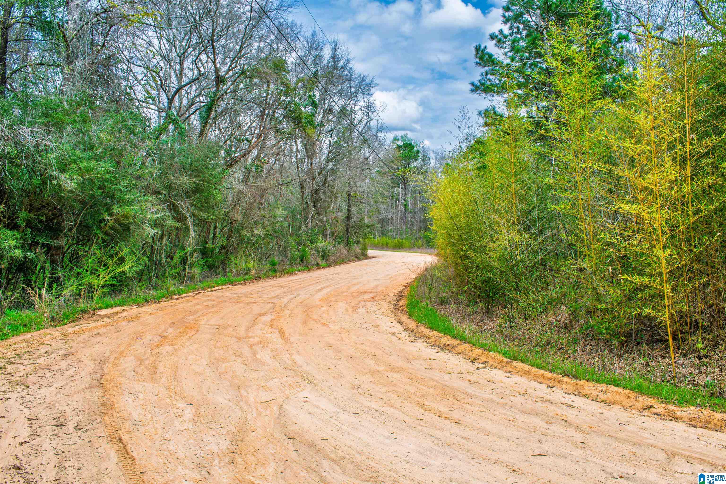 27180 Deer Run Road Opp, AL 36467 - Photo 46 of 60