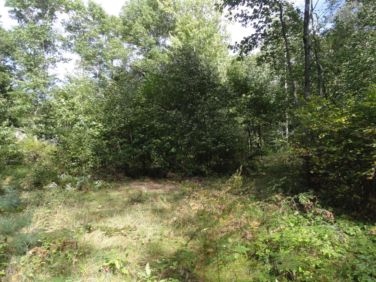 Lot 8 Kaufman Road Tomahawk, WI 54487 - Photo 3 of 13 Gallery Image 3