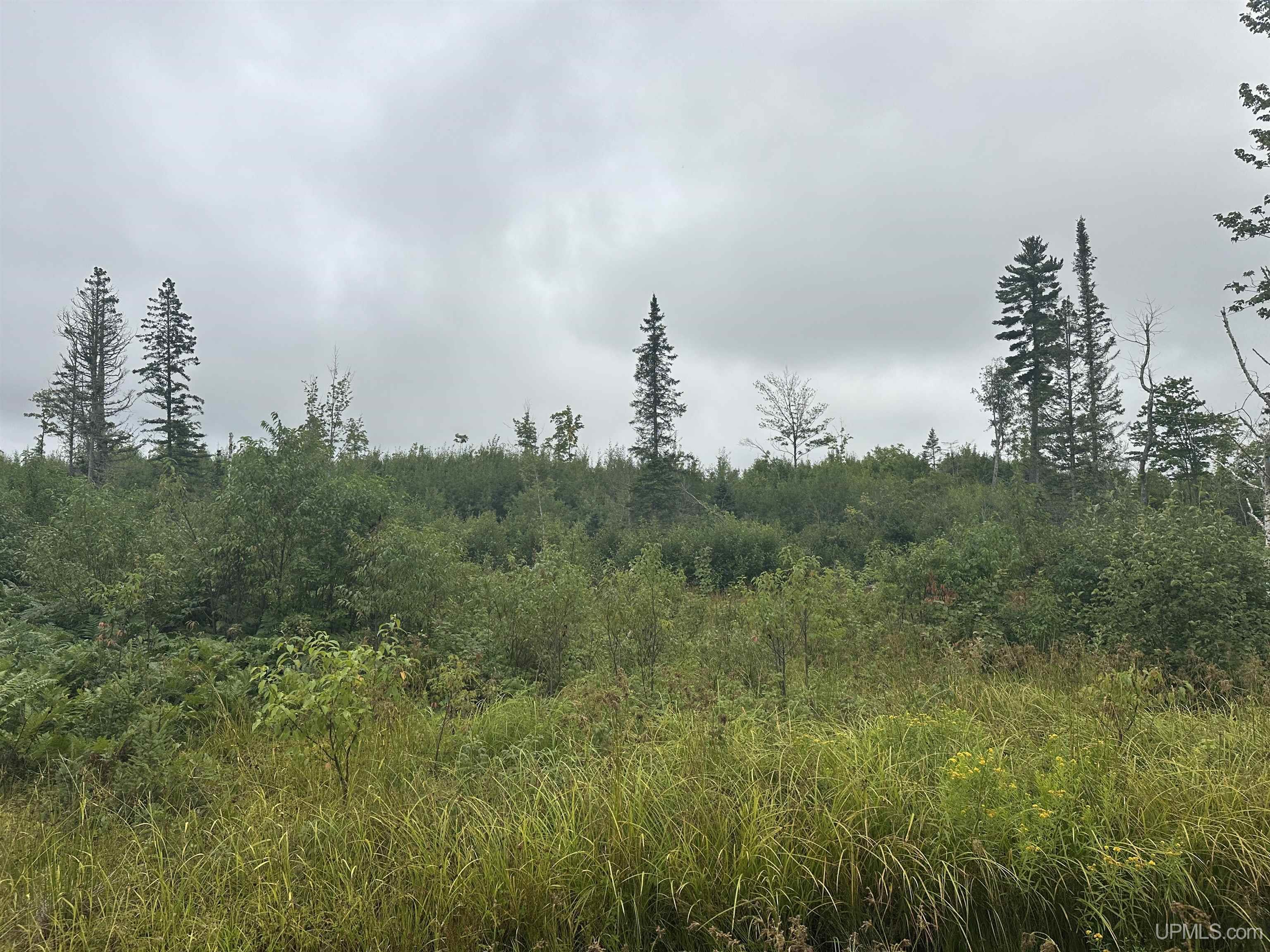 Off Off Boniface Road Michigamme, MI 49861 - Photo 13 of 19 Gallery Image 13