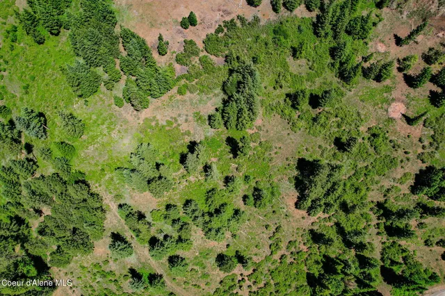 $1,450,000 | Lot 1 South Skyview Road, Harrison, ID 83833