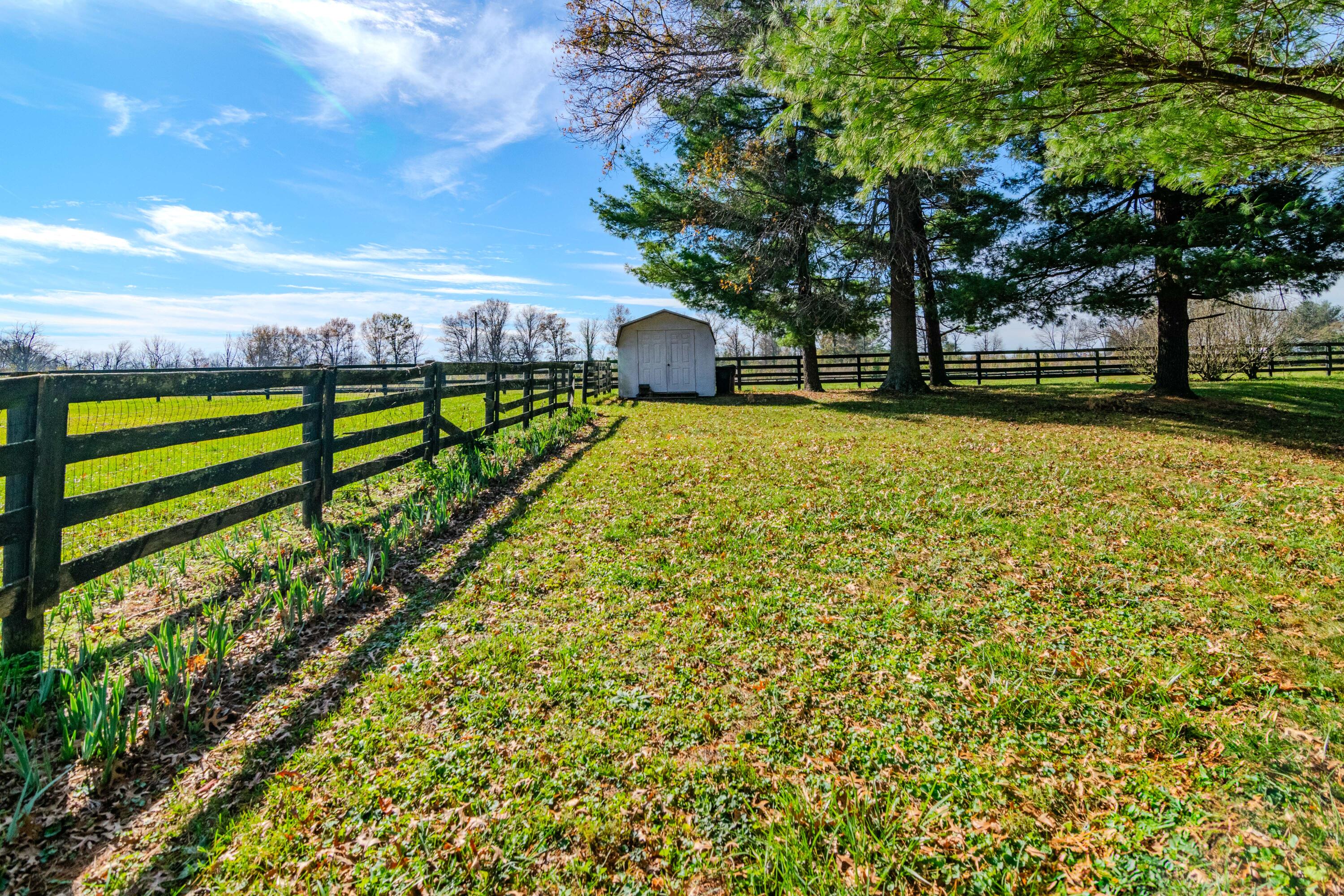3750 Becknerville Road Winchester, KY 40391 - Photo 9 of 17 3750Becknerville-0060