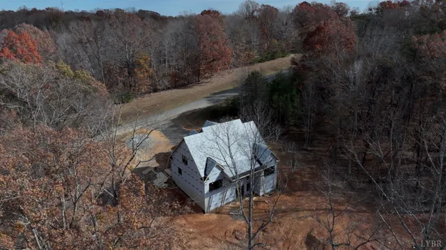 a view of a backyard with plants and a forest