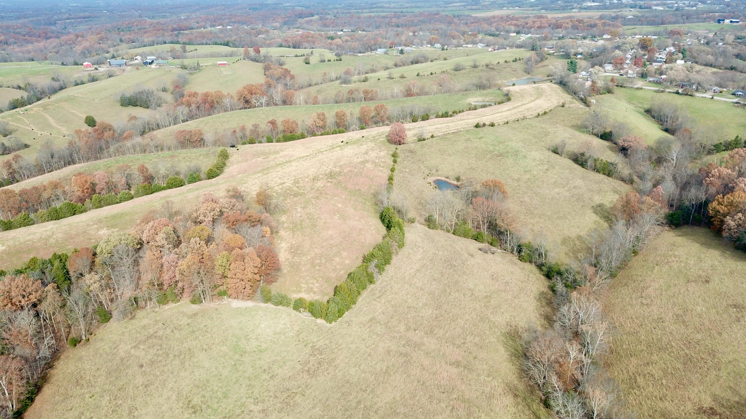 0 Gratz Road Owenton, KY 40359 - Photo 26 of 40