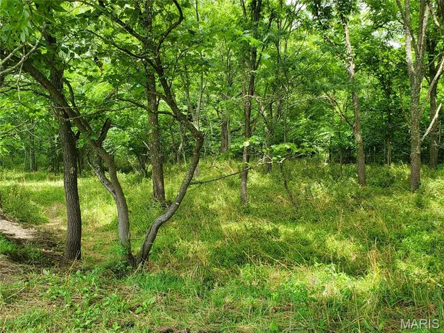 $1,100,000 | 11550 Huggins Road, Huggins, MO 65484