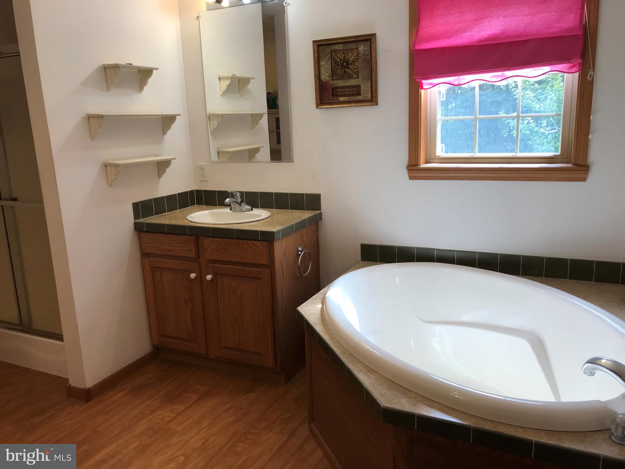13727 Orchard Ridge Road Hancock, MD 21750 - Photo 19 of 41 Master bath separate vanities/tub