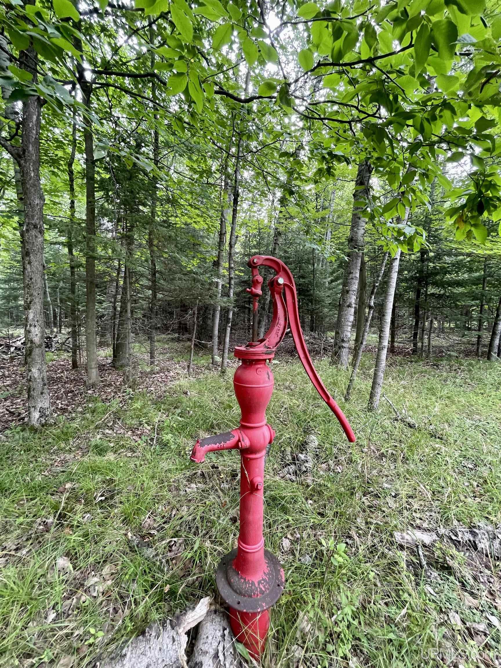 23.5 Rd Gladstone Mi 49837 Road Gladstone, MI 49837 - Photo 41 of 45