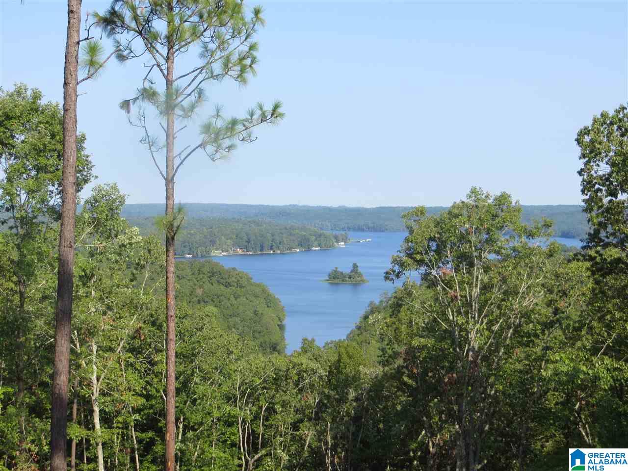 215 Eagle Mountain Road, Unit 4 Rockford, AL 35136 - Photo 5 of 11