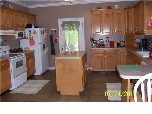 1512 Eads Bluff Road Northwest Georgetown, TN 37336 - Photo 3 of 27 Additional Photo