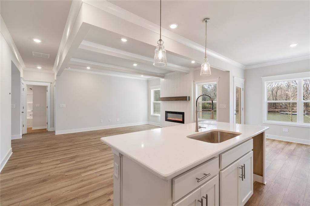 357 Scarlet Rose Way Hoschton, GA 30548 - Photo 13 of 125